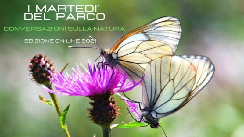 “I MARTEDÌ DEL PARCO”