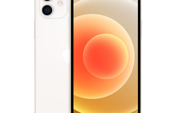 Nella giornata 02/03/2021 smarrito iPhone 12 con custodia a Pinzolo