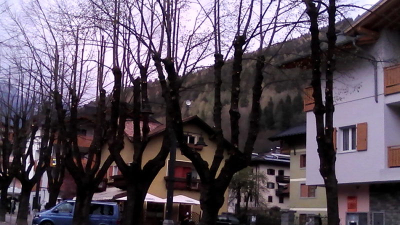 Pinzolo: completata la potatura dei tigli lungo corso Trento