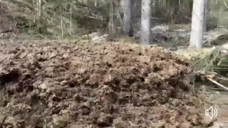 Il tempo passa, il letame scorre….