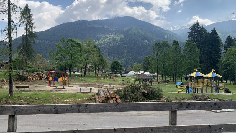 Non ci sono parole per descrivere l’ultimo atto dello scempio di quel che resta della pineta di Pinzolo