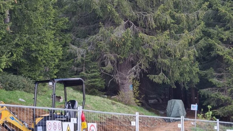 Iniziati i lavori del sentiero sbarrierato Patascoss/Lago Nambino Madonna di Campiglio
