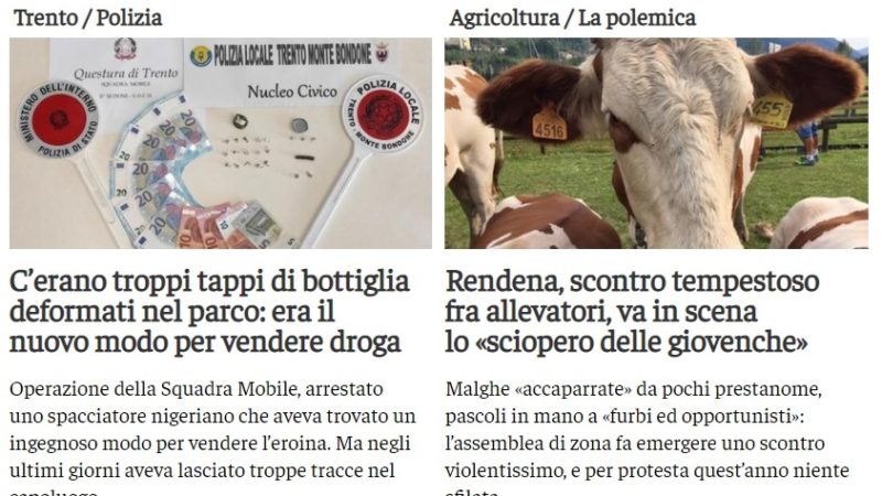 Rendena, scontro tempestoso… ma il quotidiano locale mette in prima pagina una bella “Pezzata rossa”…