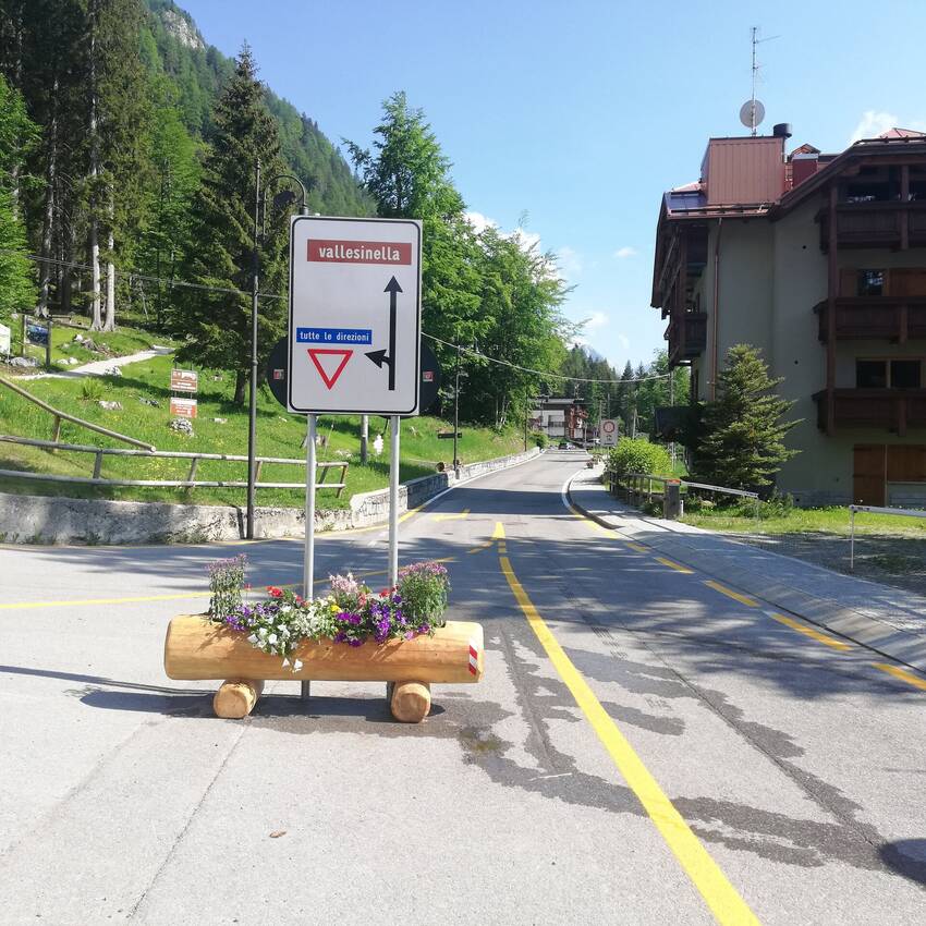 Viabilità Palù di Madonna di Campiglio e Vallesinella. Estate 2021