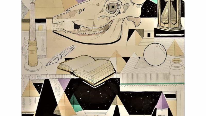 Ultimi giorni di Vanitas, mostra di Mattia Cozzio al Paladolomiti