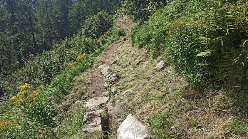 Pulizia dei sentieri di montagna con il decespugliatore? Anche no