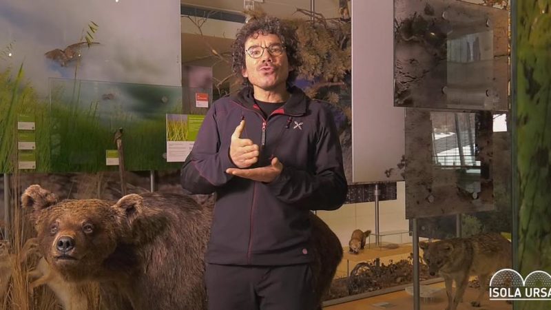 Mavignola 19 Agosto ore 17: Arretramento dei Ghiacciai- il caso dell’Adamello