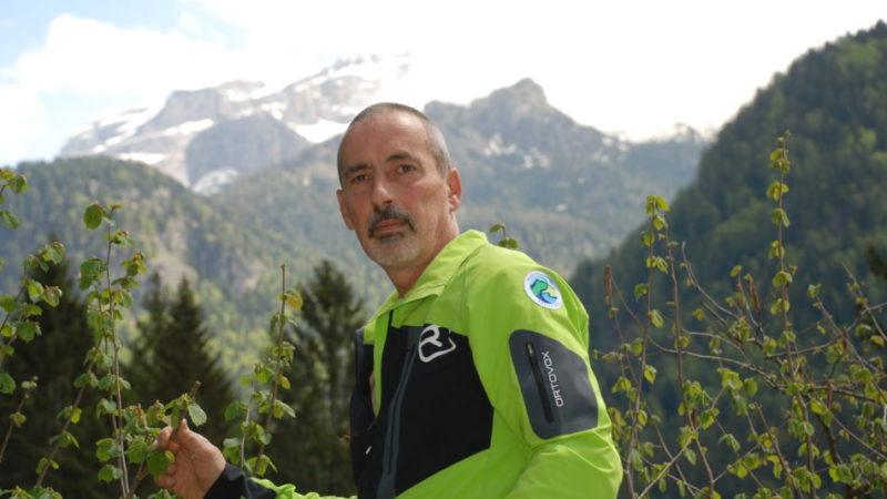 11 agosto ore 17.00 – presentazione del libro “TREDICI ALBERI – Racconti di uomini e radici” (ed. Biblioteca dell’Immagine)