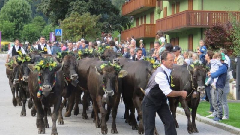 Ringrazum al lavoro da i nos bacan e imparum in tal nos piciul da darghi na man !!!