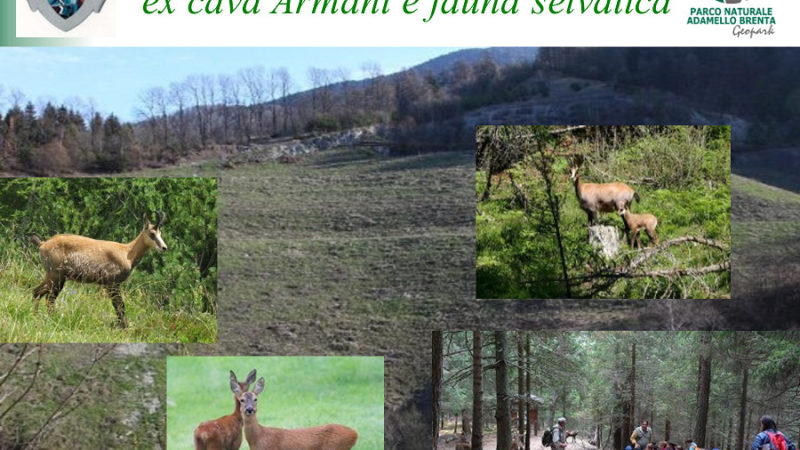 Anche la minoranza chiede spiegazioni per la mancata apertura del parco faunistico.