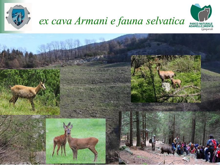 Anche la minoranza chiede spiegazioni per la mancata apertura del parco faunistico.