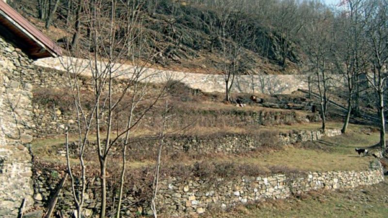 Via libera al Bando 2021per il recupero dei terrazzamenti agricoli tradizionali
