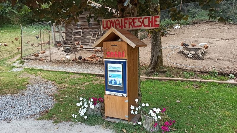 Distributori di uova fresche in val Rendena: un bell’esempio di civiltà e non solo…