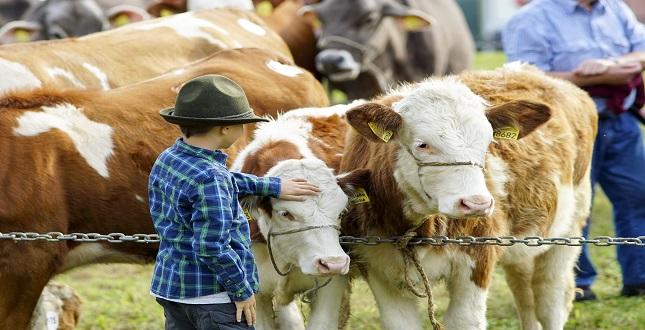 Grande successo per Mondo contadino e “Formai da mot”