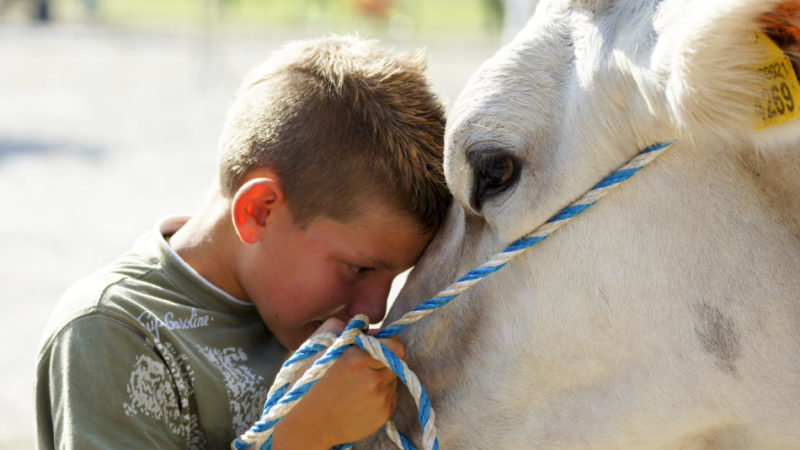 Roncone: con “Mondo Contadino” si conclude sabato il Festival “Formai da mot”