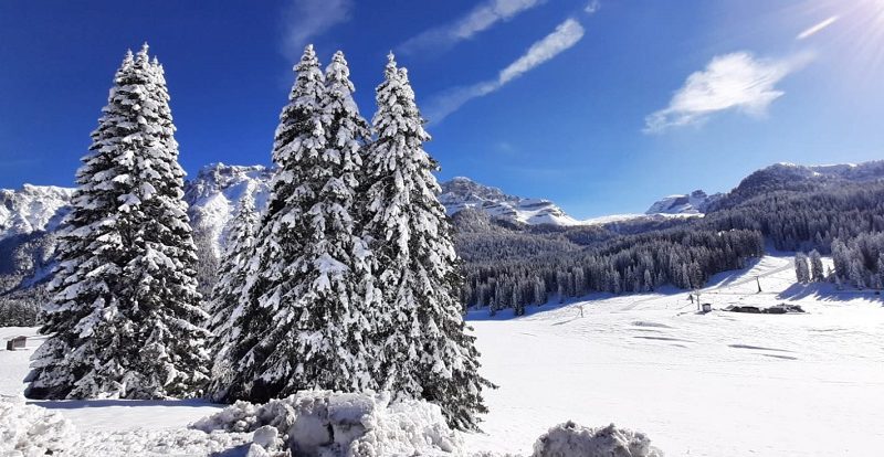 Skiarea Campiglio – Finalmente si scia!