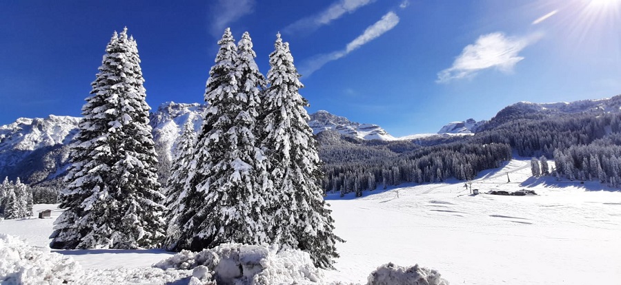 Skiarea Campiglio – Finalmente si scia!