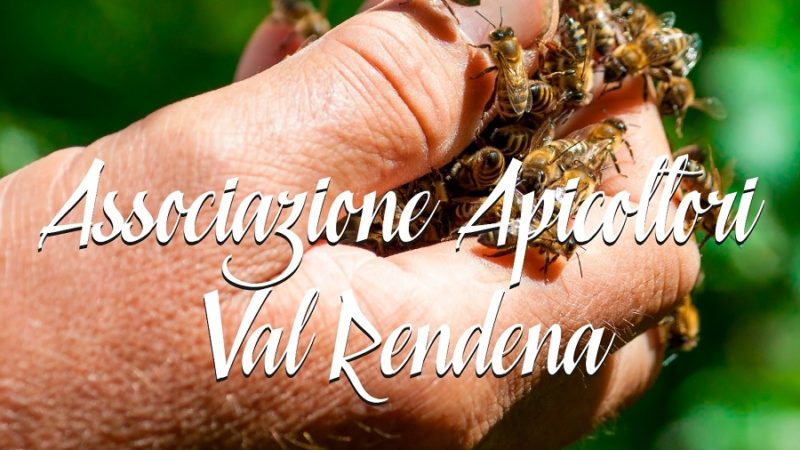 Corso di apicoltura in val Rendena