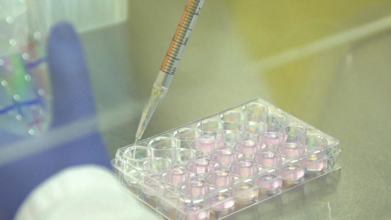 1.675 nuovi contagi, zero decessi, 162 pazienti covid in ospedale