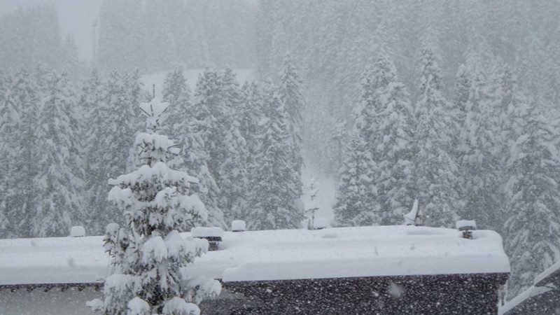 Da domani torna la neve, ma purtroppo non in quantità sufficiente…