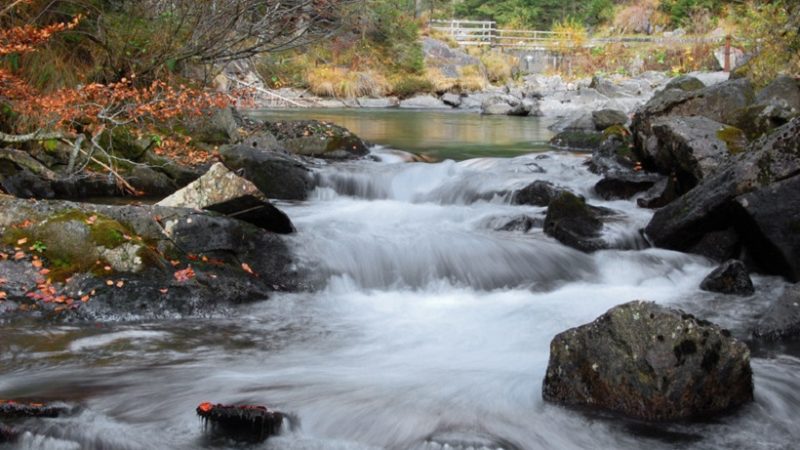 Dal Parco risorse e responsabilità per i territori della Sarca