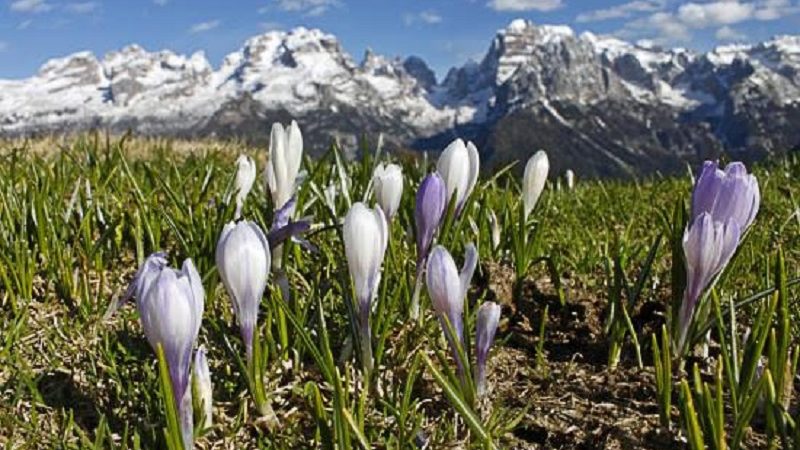 Azienda per il Turismo Madonna di Campiglio presenta l’estate con gli “Open days