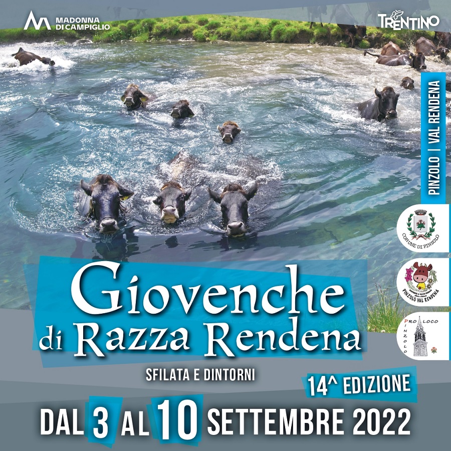 Giovenche di Razza Rendena. Sfilata e… dintorni – 14^ Edizione