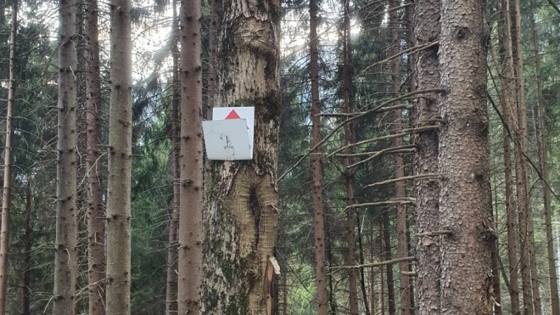 Atti vandalici lungo il percorso della Dolomitica Brenta Bike