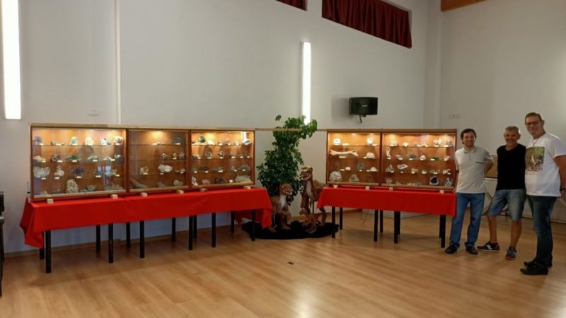 Minerali, Fossili e Dinosauri alla Casa di Riposo San Vigilio – Fondazione Bonazza di Spiazzo