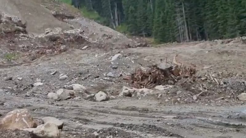 Funivie Campiglio: sono a buon punto i lavori di risistemazione della pista Genziana