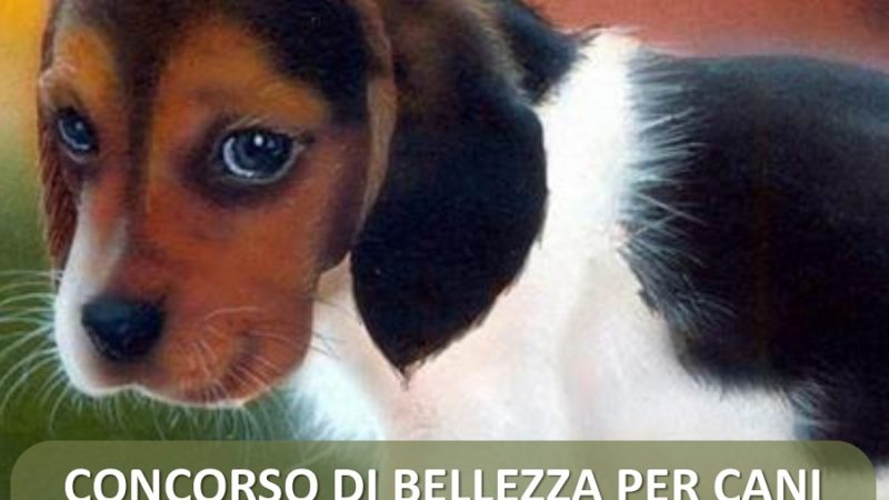 Giovedì 21 luglio, Parco Pineta ore 17-19: Concorso di bellezza per Cani