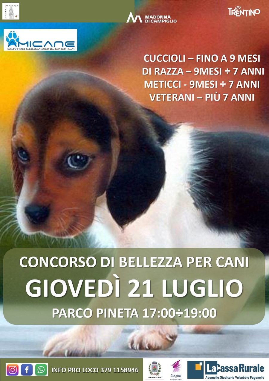 Giovedì 21 luglio, Parco Pineta ore 17-19: Concorso di bellezza per Cani