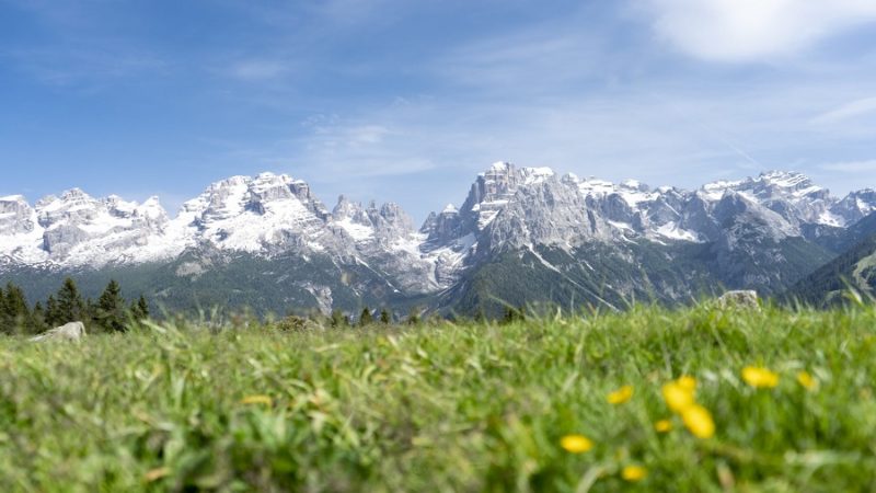 Un modo alternativo per raggiungere malga Ritort a Madonna di Campiglio