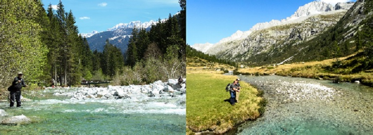 Nel cuore delle Alpi, in un contesto naturalistico d’eccezione, con ben 2000 km di corsi d’acqua, quasi 300 laghi e laghetti alpini, oltre 800 chilometri quadrati di parchi naturali, il Trentino è pronto ad accogliere i pescatori di tutto il mondo
