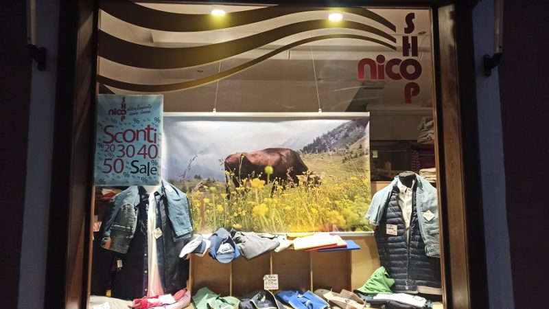 Giovenche di razza Rendena: i commercianti di Pinzolo hanno cominciato ad addobbare le loro vetrine