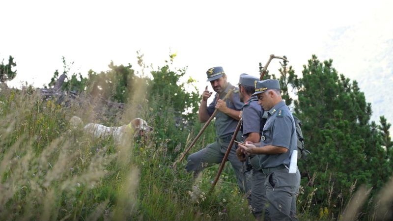 Val Nambino, il ritrovamento degli ovini morti nell’ambito dei controlli di Corpo forestale e Apss