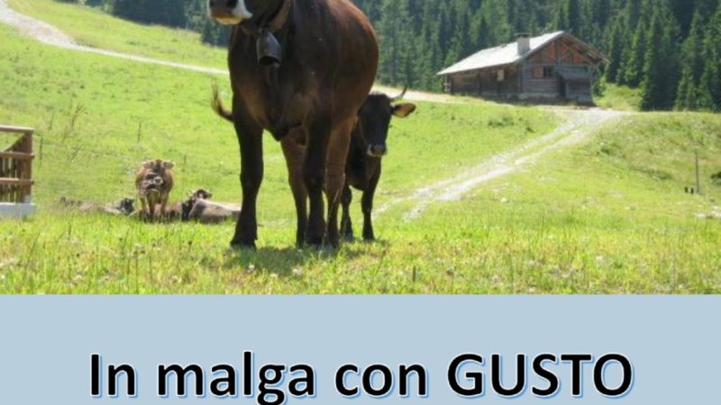 “In malga con gusto” – Domenica 4 settembre