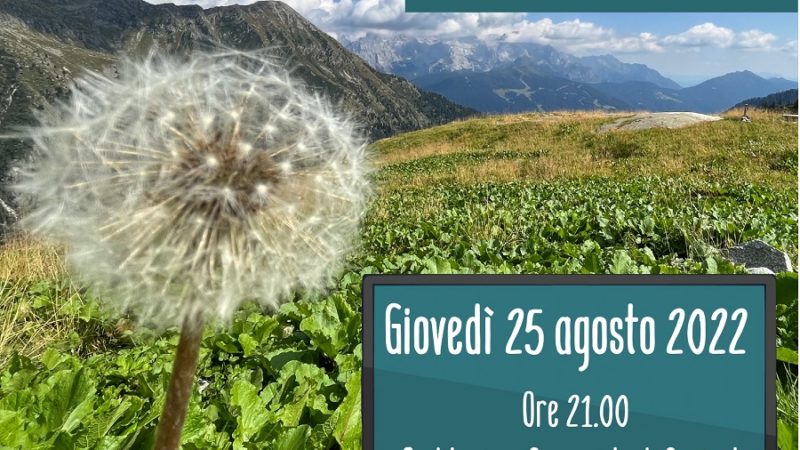 Val Rendena, lavorare da remoto? Se ne discute giovedì a Carisolo