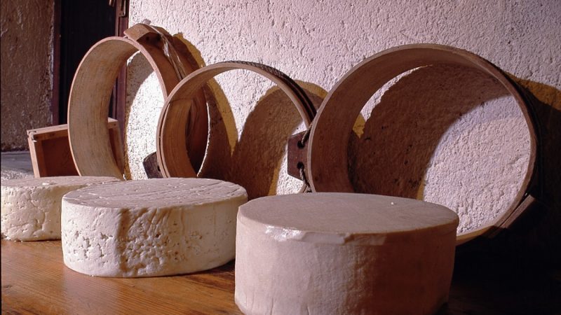 Formaggi di razza Rendena,  a Pinzolo il concorso che li premia!