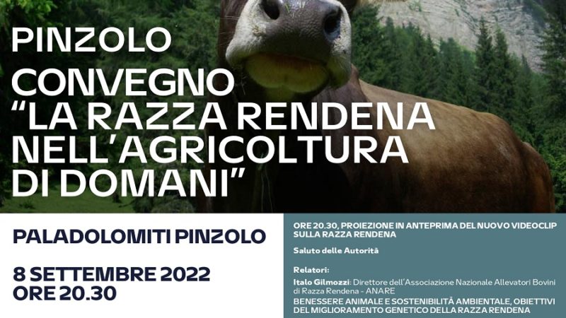 Paladolomiti Giovedì 8 settembre ore 20.30: CONVEGNO “La Razza Rendena nell’agricoltura di domani”