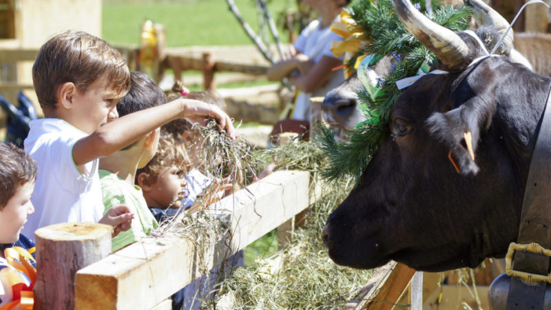 Valle del Chiese e Giudicarie Centrali: un autunno all’insegna della montanità 