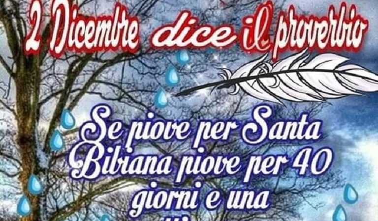 Se piove per Santa Bibiana piove per 40 giorni e una settimana…