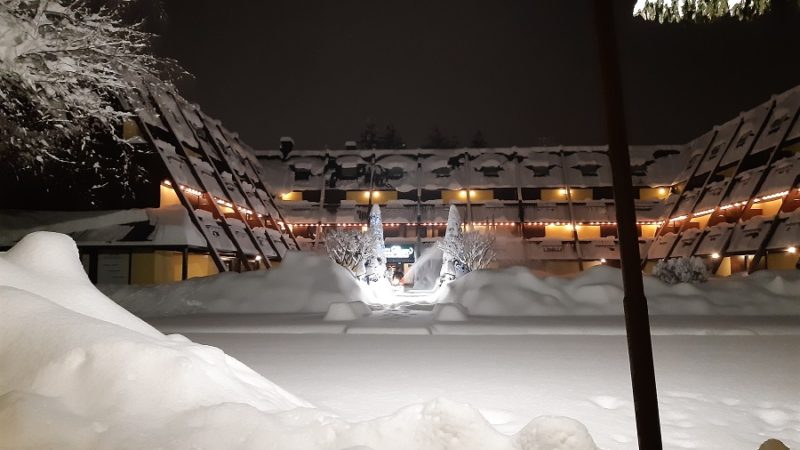 Hotel Centro Pineta: 40 anni di attività, un anniversario da condividere 