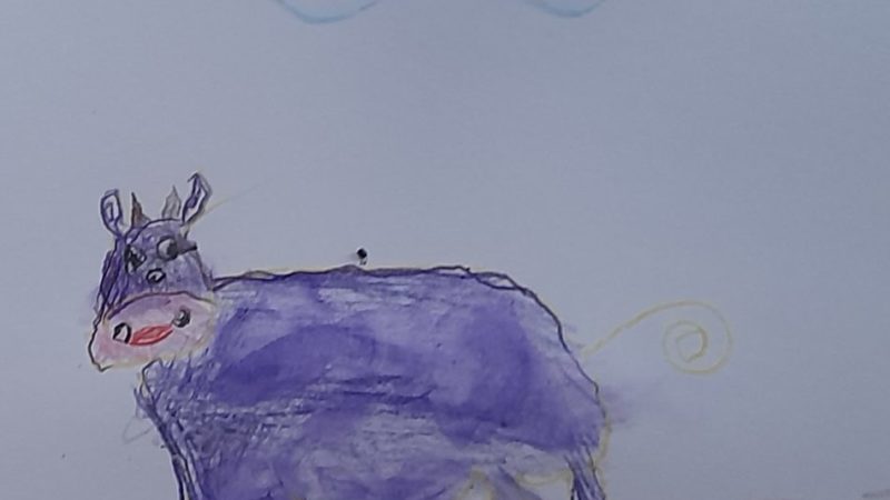 La mucca Carolina fa’ la pipi’ in cantina