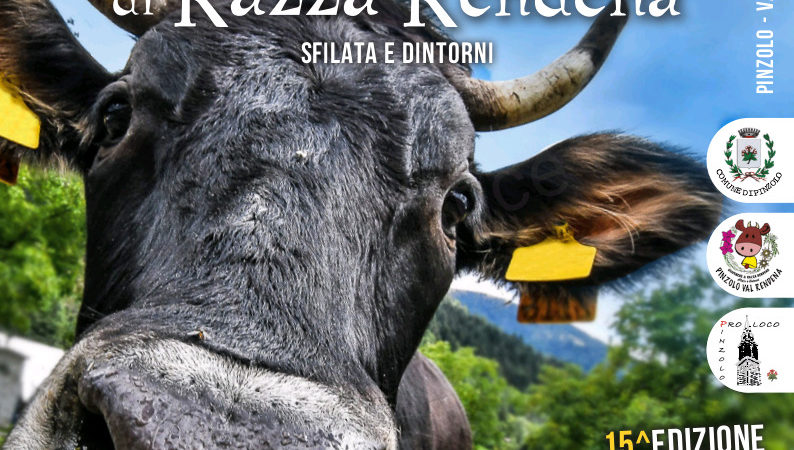 Giovenche di Razza Rendena. Sfilata e… dintorni – 15^ Edizione