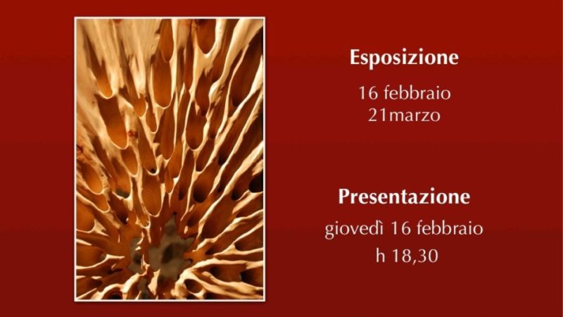 ARTE InCANTINA “cibo dell’anima e piacere del gusto”: Nicola Cozzio dal 16 febbraio al 21 marzo 2023