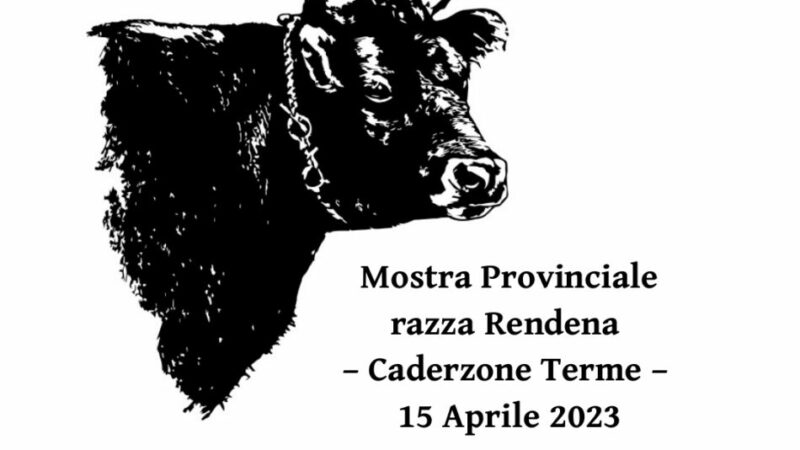 Mostra Provinciale  razza Rendena – Caderzone Terme 15 Aprile  2023