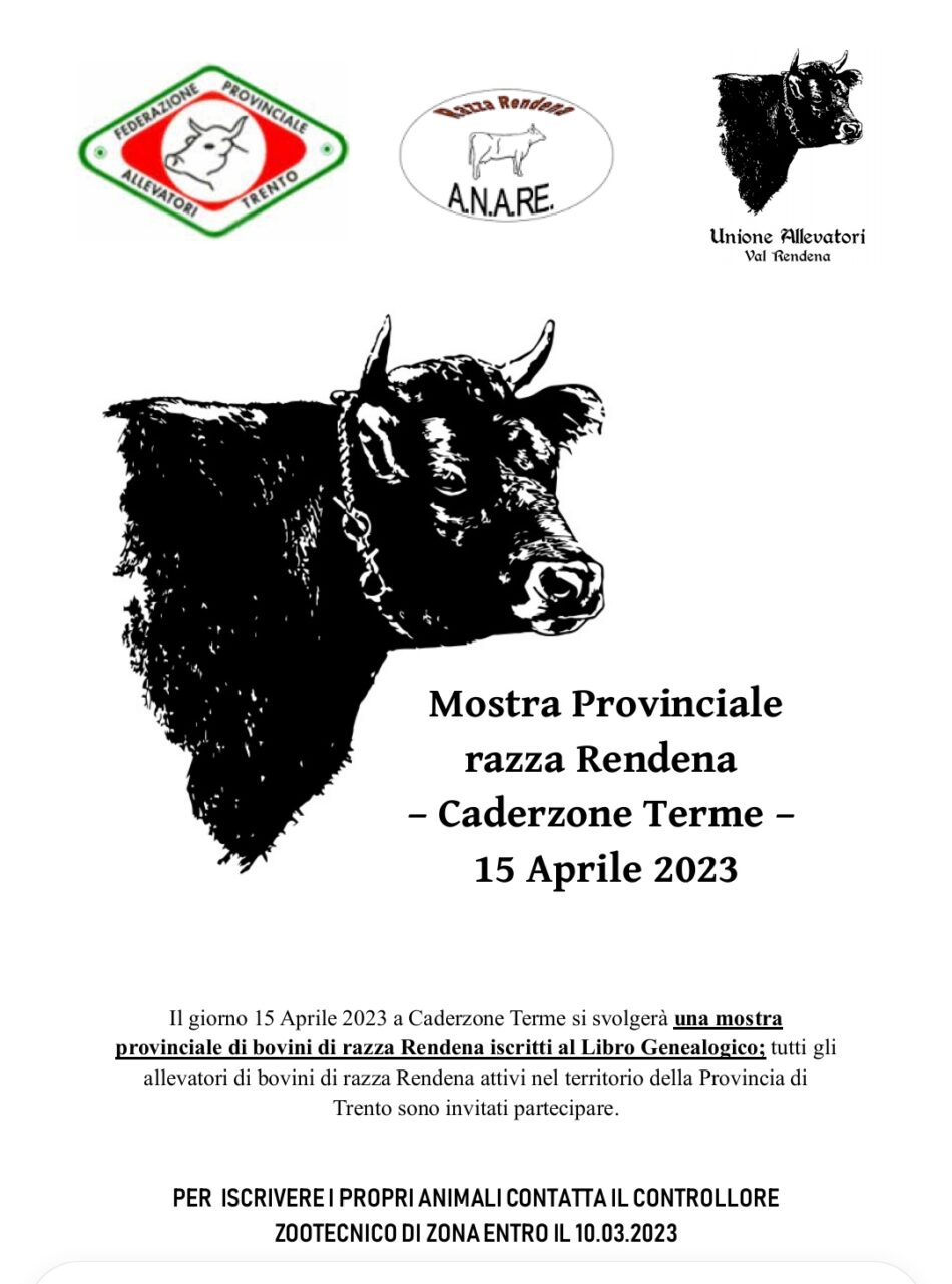 Mostra Provinciale  razza Rendena – Caderzone Terme 15 Aprile  2023