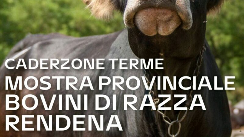 Mostra Provinciale Bovini di razza Rendena – Caderzone Terme 15 aprile 2023