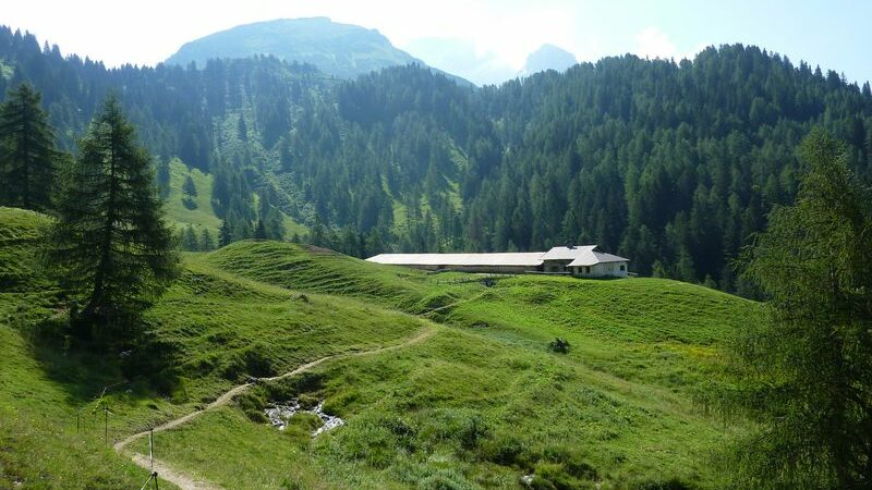 Dopo il recesso dell’Azienda agricola Haflinger, torna all’asta la malga Bandalors a Giustino